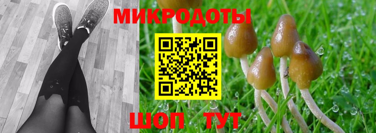 Псилоцибиновые грибы прущие грибы Гулькевичи