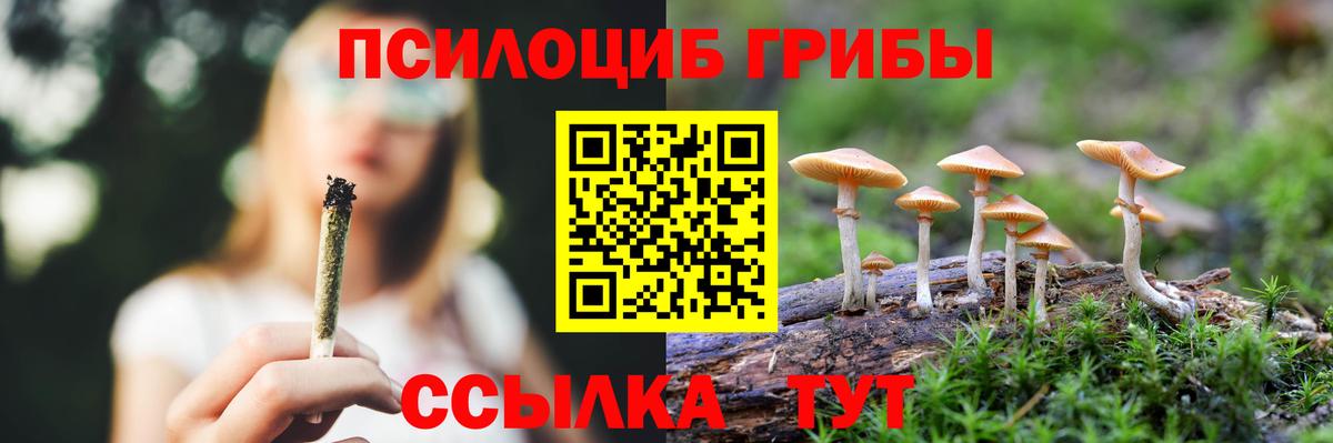 Галлюциногенные грибы ЛСД  Вход с VPN  Гулькевичи  где купить наркоту  Псилоцибиновые грибы Magic Shrooms 